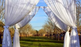 Wedding Items & Arches