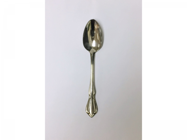 stainless spoon