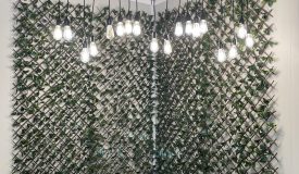Lattice Greenery