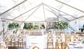 40 x 85 Clear Top Frame Tent